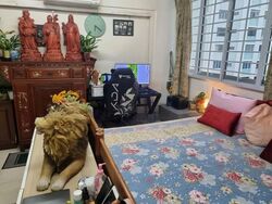 Blk 135 Simei Street 1 (Tampines), HDB 5 Rooms #563199521